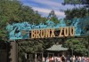 bronx-zoo-photos