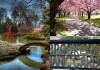 brooklyn-botanic-garden